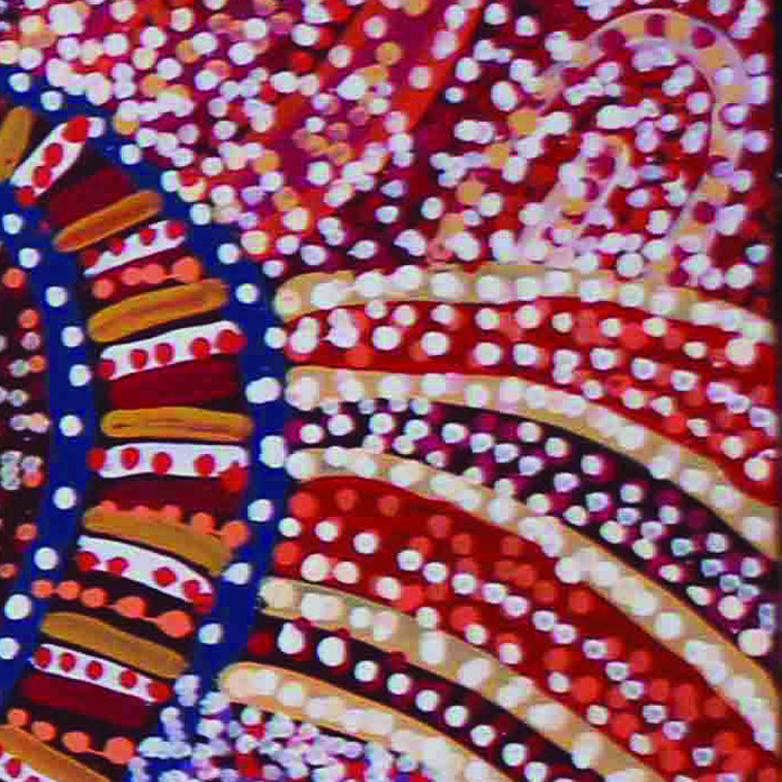 Aboriginal Leadership and Strategy