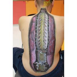 Body Painting in the Anatomy Laboratory